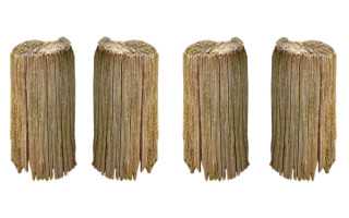 铲屎的，我要个响亮的名字