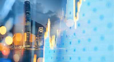 宠物经济火热：“排队”美容 春节假期寄养