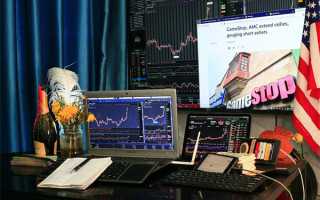 新年脚步临近，苏城萌宠旅馆“一床难求”